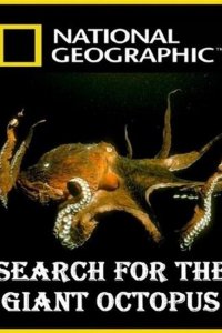 National Geographic. В поисках гигантского осьминога