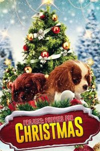 Project: Puppies for Christmas